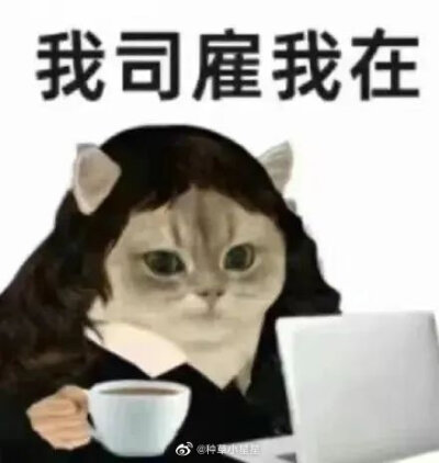 表情包