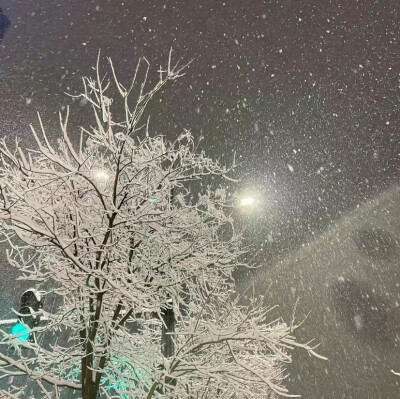 雪 朋友圈背景