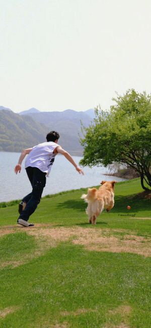 王鹤棣 电脑壁纸