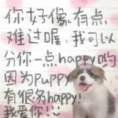 puppy puppy puppy：小狗不会撒谎