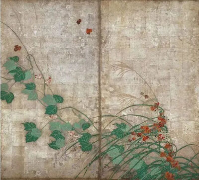 酒井抱一 夏秋草図屏風左部 图中植物：芒草、葛、茑（爬山虎）、女郎花（败酱）