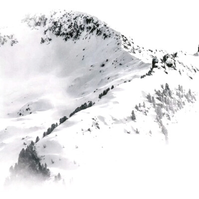 
小狗 / ""安喜延