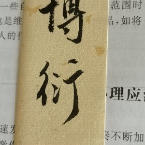 格格不入 巫哲