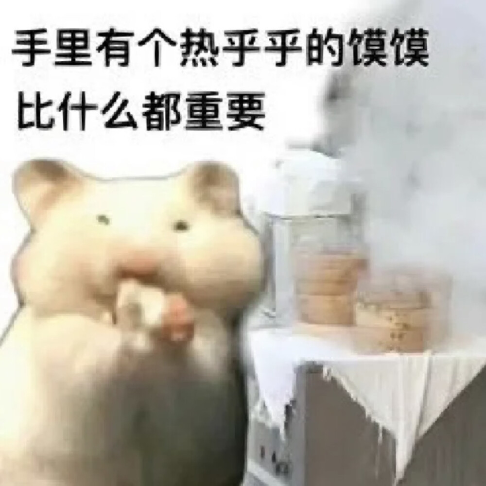 鼠鼠我啊