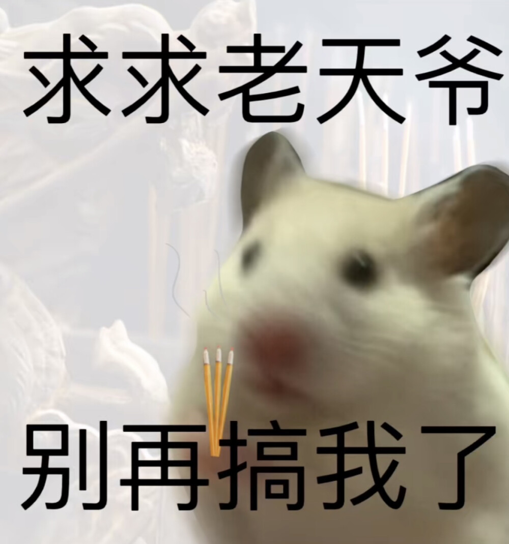 鼠鼠表情包