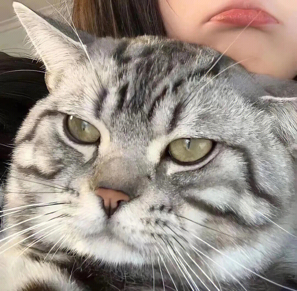  对象不是人系列
