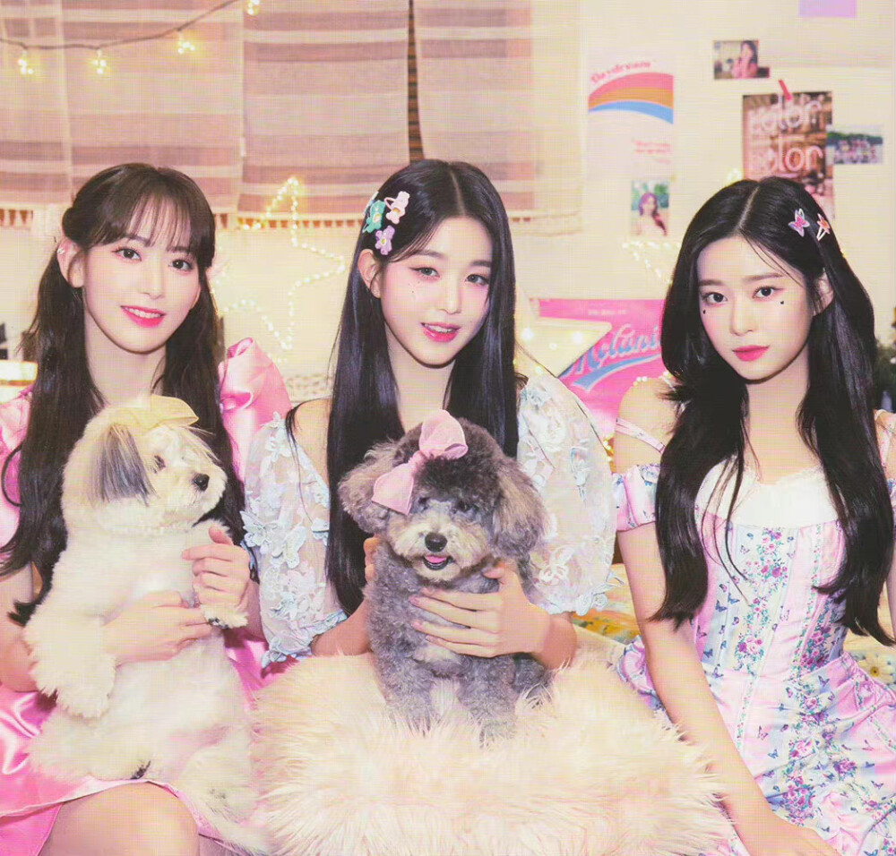 小樱花张元英金珉周