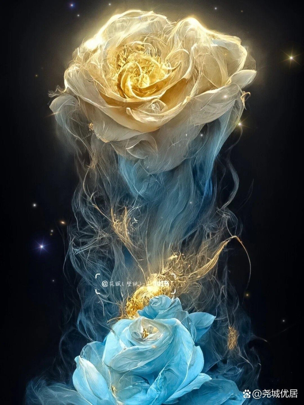 有一朵玫瑰叫"冰碎蓝"花语是:我携满天… - 堆糖,美图壁纸兴趣社区