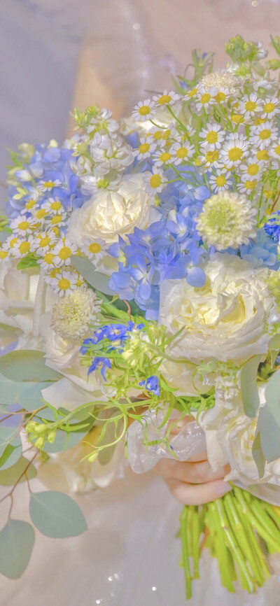 花朵