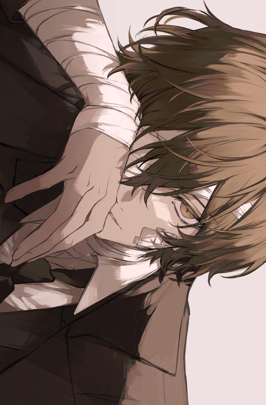 画师maca&nbsp; 文豪野犬 精选 侵权删