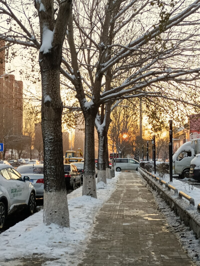 又是一年好风景～初雪～