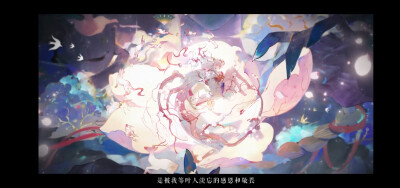 阴阳师花开椰子鸡