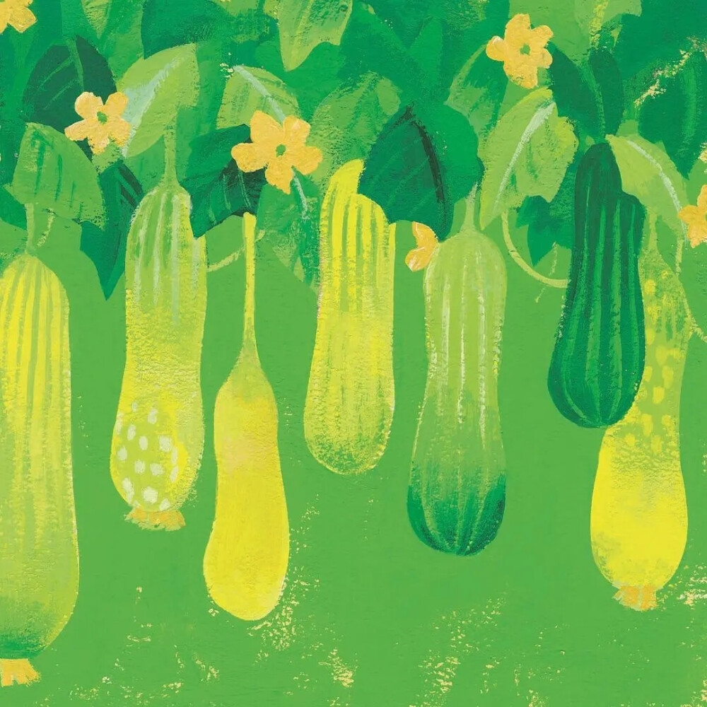 我喜欢的色彩