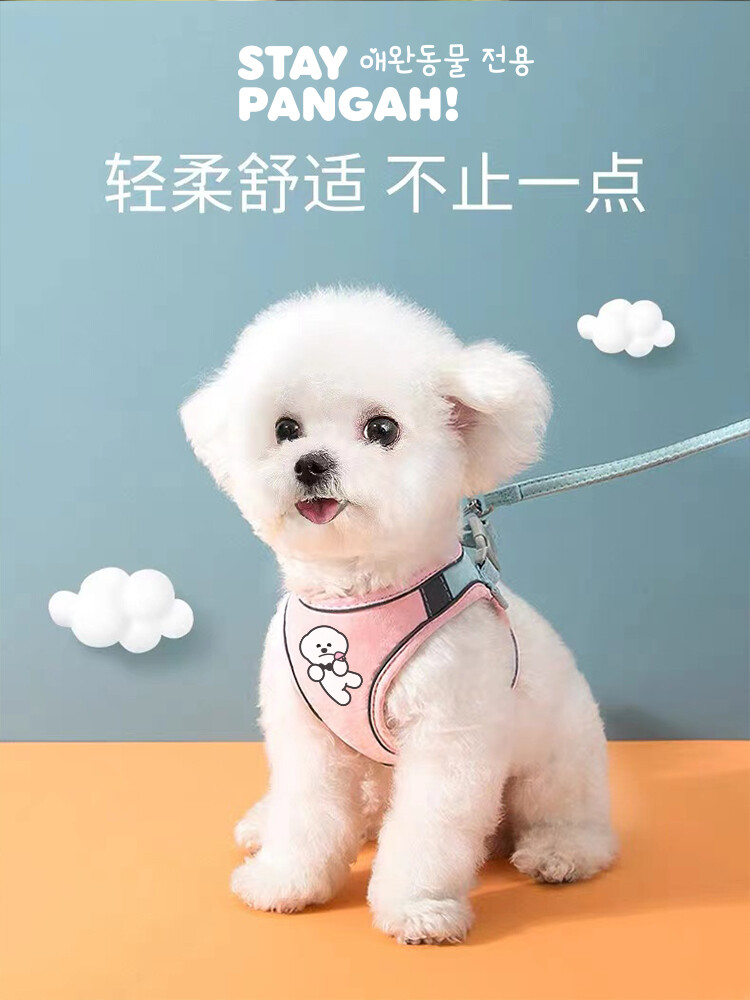 可爱的小白狗 治愈小白狗