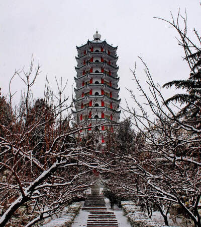 鲁 苍山 大蒜塔