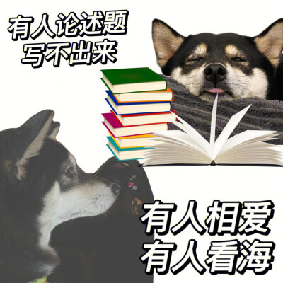 学习