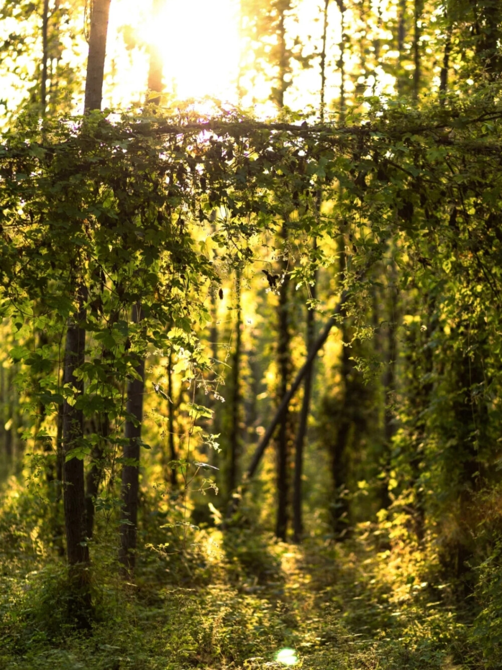 生活各自不易
个人所求不同
各自立场不一
勿在别人心中修行自己
勿在自己心中强求别人 ​​​