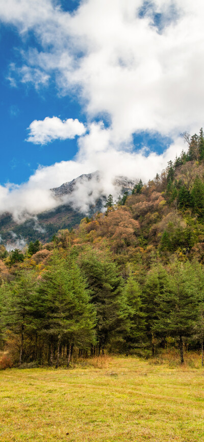 风景