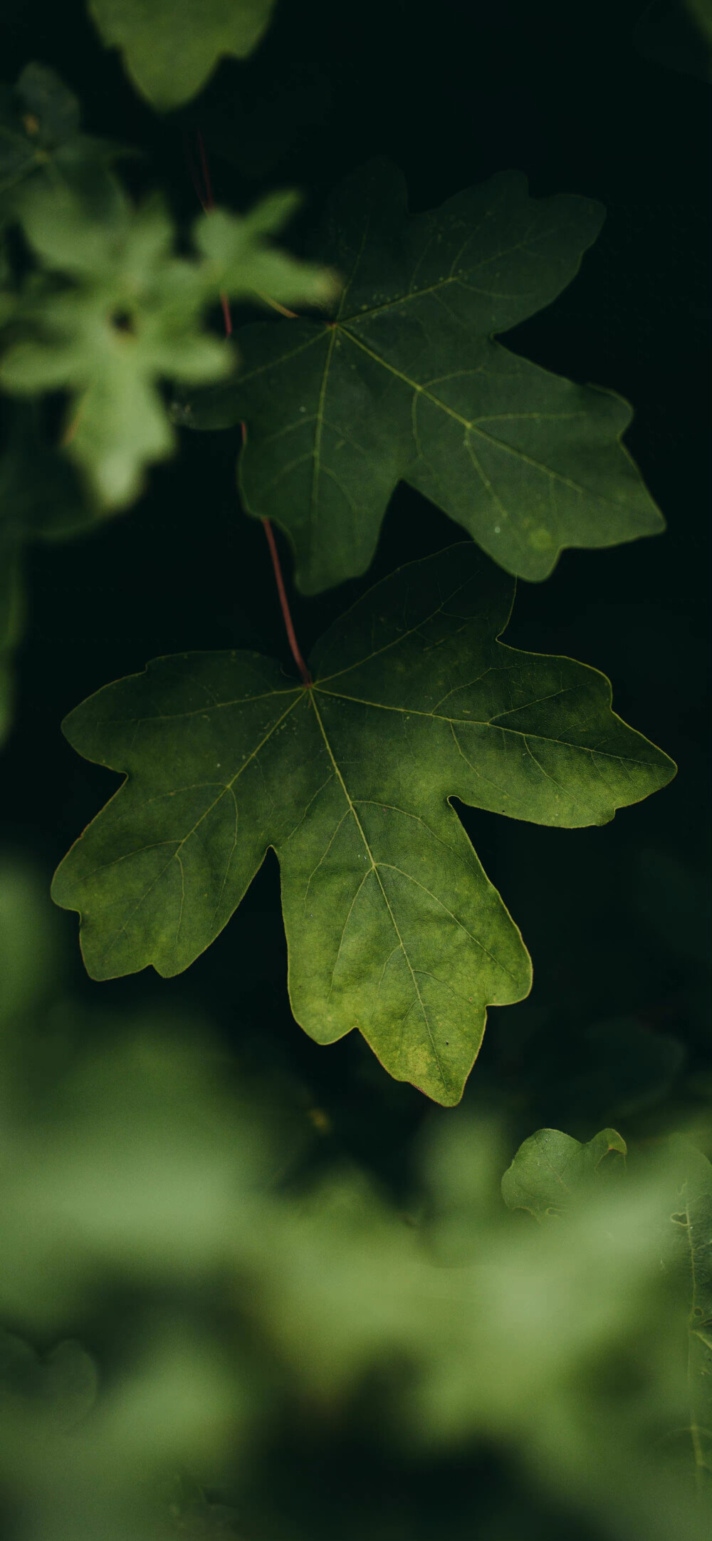 自然风景壁纸 ｜ 风景壁纸 ｜ 素质拿图