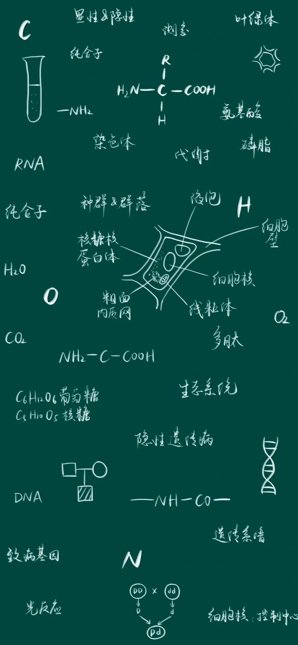 学习学科公式知识点壁纸