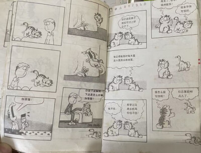 加菲猫杂志