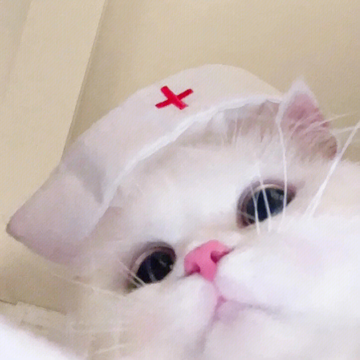 可爱猫咪头像