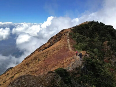 苍山