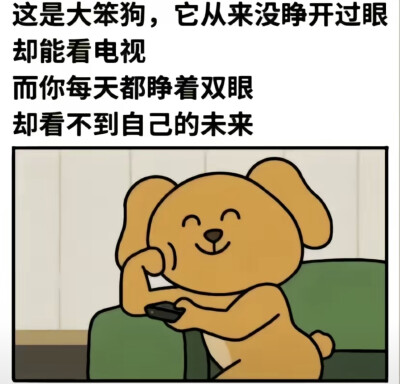 乱七八糟的我