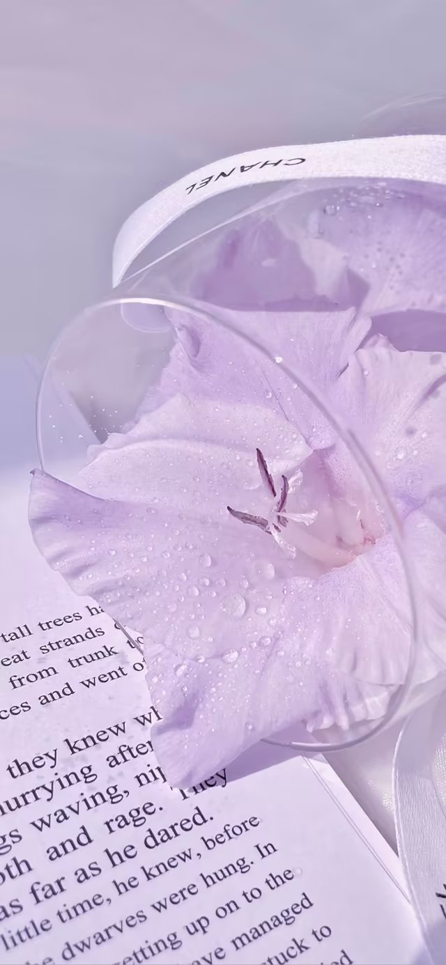 壁纸ins风紫色系赞评论更多