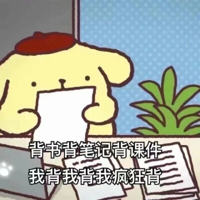 布丁狗学习表情包