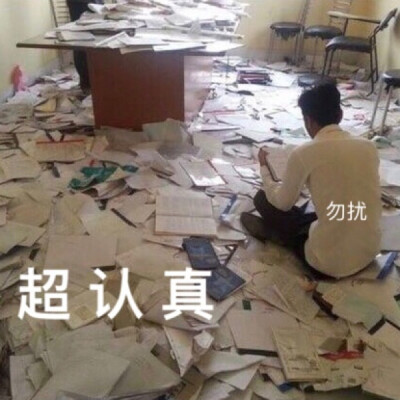 学习表情包