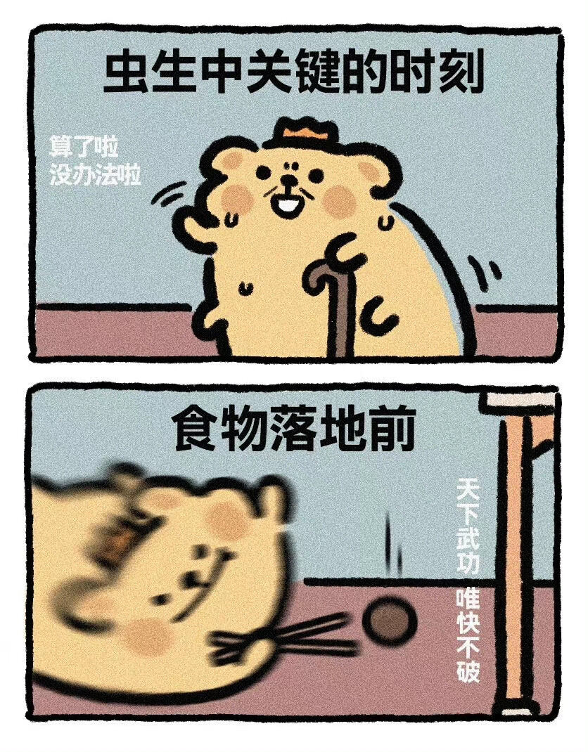 作者是围脖小熊虫com