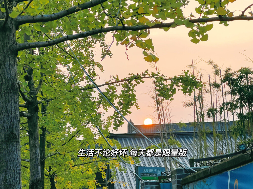 ₂₀₂₂.₁₁.₁₆
每天都要对“开心”说欢迎光临 ◡̈
文案分享〰️
◾️生活不论好坏 每天都是限量版
◾️最近 在忙 在开心 在寻找更好的自己
◾️你逆光而来 配得上这世间所有的美好
◾️生活就该有些阳光 有点自由 还有一些花朵
◾️热爱可抵岁月漫长 温柔可抵艰难时光
◾️时刻觉醒 日子再忙也不能失去追求美好生活的能力
◾️这人间烟火 风花雪月都好看 爱恨情仇都浪漫
◾️记录生活的美好 快乐持续的不止一秒