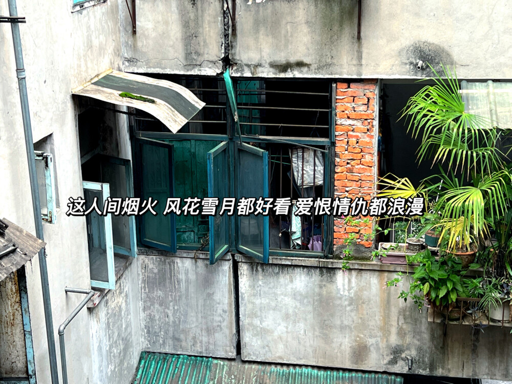 ₂₀₂₂.₁₁.₁₆
每天都要对“开心”说欢迎光临 ◡̈
文案分享〰️
◾️生活不论好坏 每天都是限量版
◾️最近 在忙 在开心 在寻找更好的自己
◾️你逆光而来 配得上这世间所有的美好
◾️生活就该有些阳光 有点自由 还有一些花朵
◾️热爱可抵岁月漫长 温柔可抵艰难时光
◾️时刻觉醒 日子再忙也不能失去追求美好生活的能力
◾️这人间烟火 风花雪月都好看 爱恨情仇都浪漫
◾️记录生活的美好 快乐持续的不止一秒