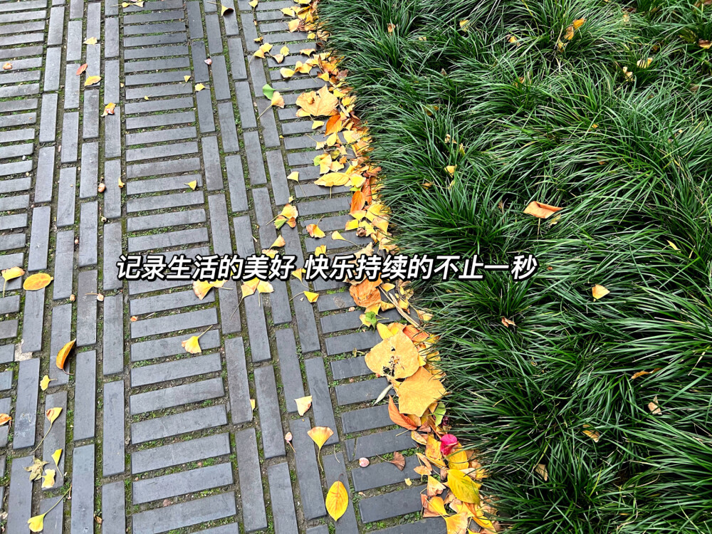 ₂₀₂₂.₁₁.₁₆
每天都要对“开心”说欢迎光临 ◡̈
文案分享〰️
◾️生活不论好坏 每天都是限量版
◾️最近 在忙 在开心 在寻找更好的自己
◾️你逆光而来 配得上这世间所有的美好
◾️生活就该有些阳光 有点自由 还有一些花朵
◾️热爱可抵岁月漫长 温柔可抵艰难时光
◾️时刻觉醒 日子再忙也不能失去追求美好生活的能力
◾️这人间烟火 风花雪月都好看 爱恨情仇都浪漫
◾️记录生活的美好 快乐持续的不止一秒