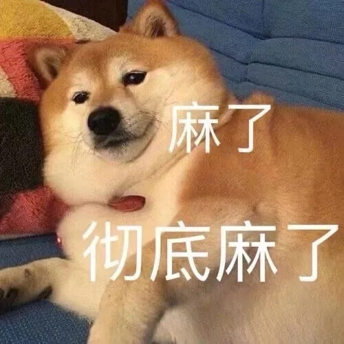 柴犬表情包