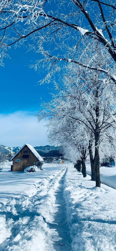 治愈系风景壁纸