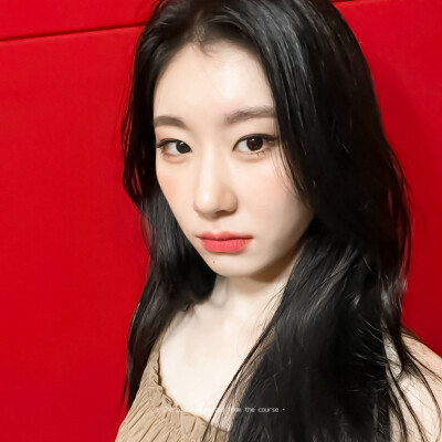 李彩领