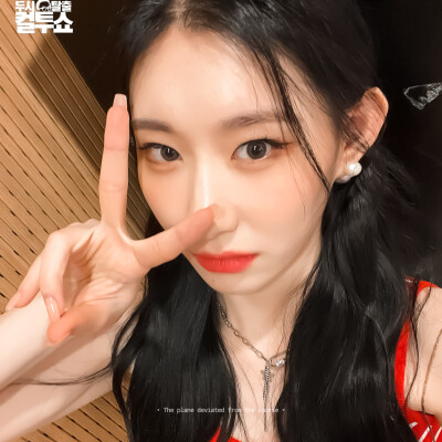 李彩领