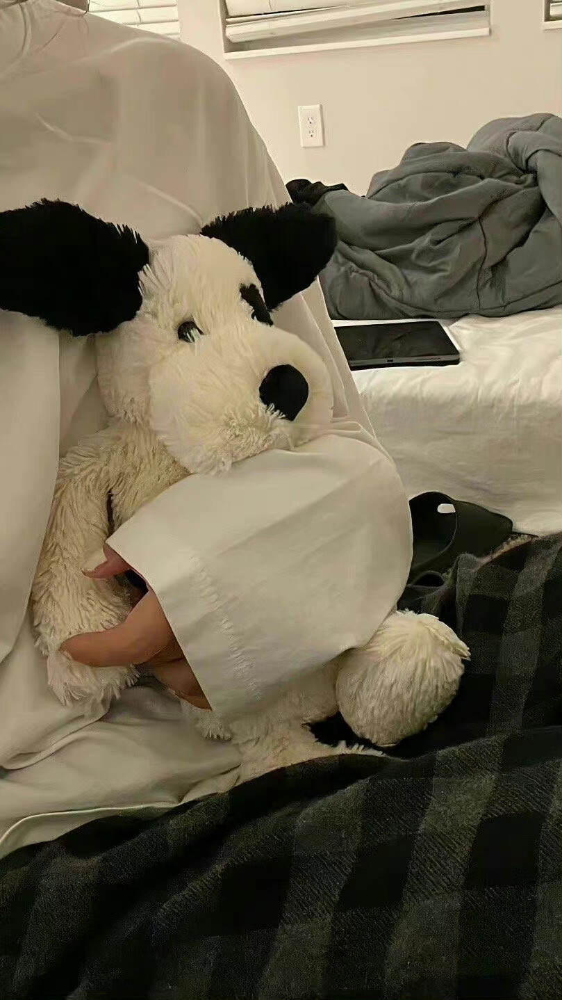 可爱 玩偶 壁纸