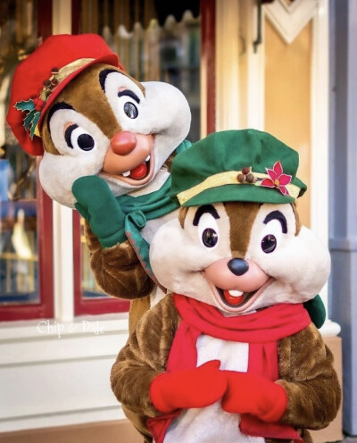 迪士尼 奇奇蒂蒂 Chip&Dale 