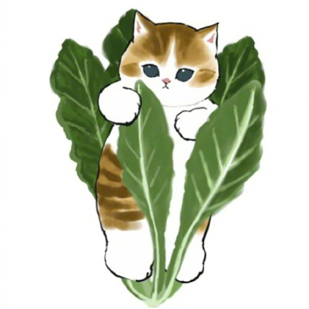 植物猫猫 