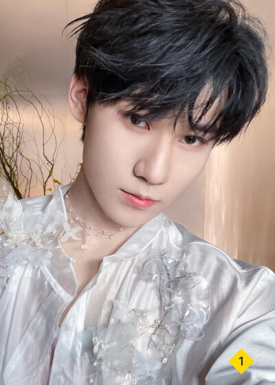 花与少年