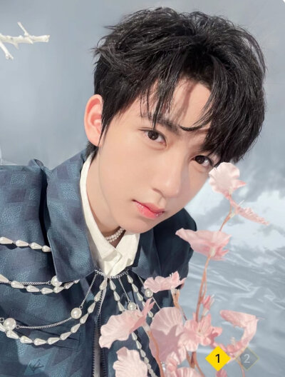 花与少年