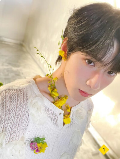 花与少年