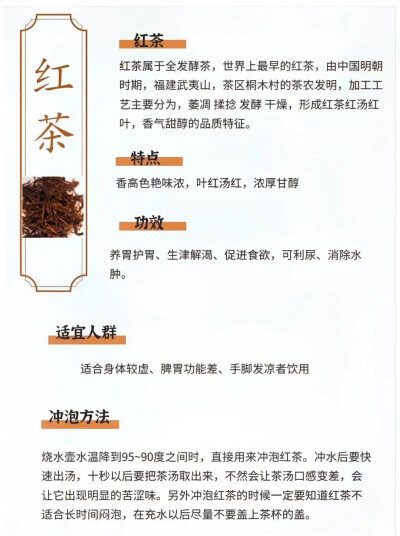 中国茶学知识