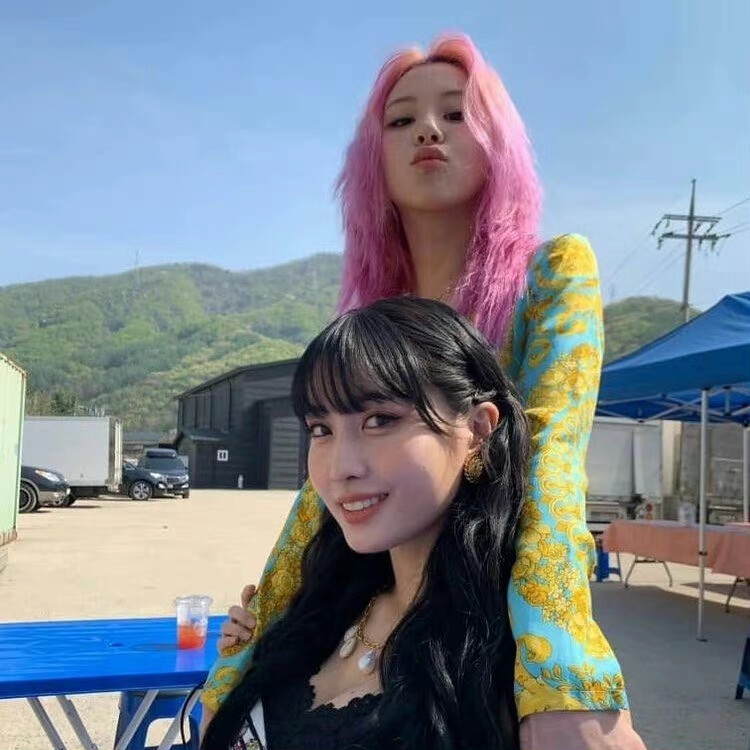 momo & chaeyoung
/图源见logo ​​​侵删