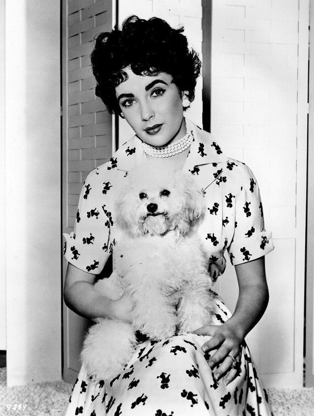  Elizabeth Taylor