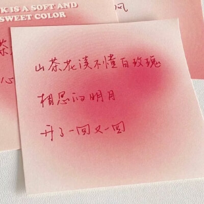 手写背景图
涂鸦企鹅空间