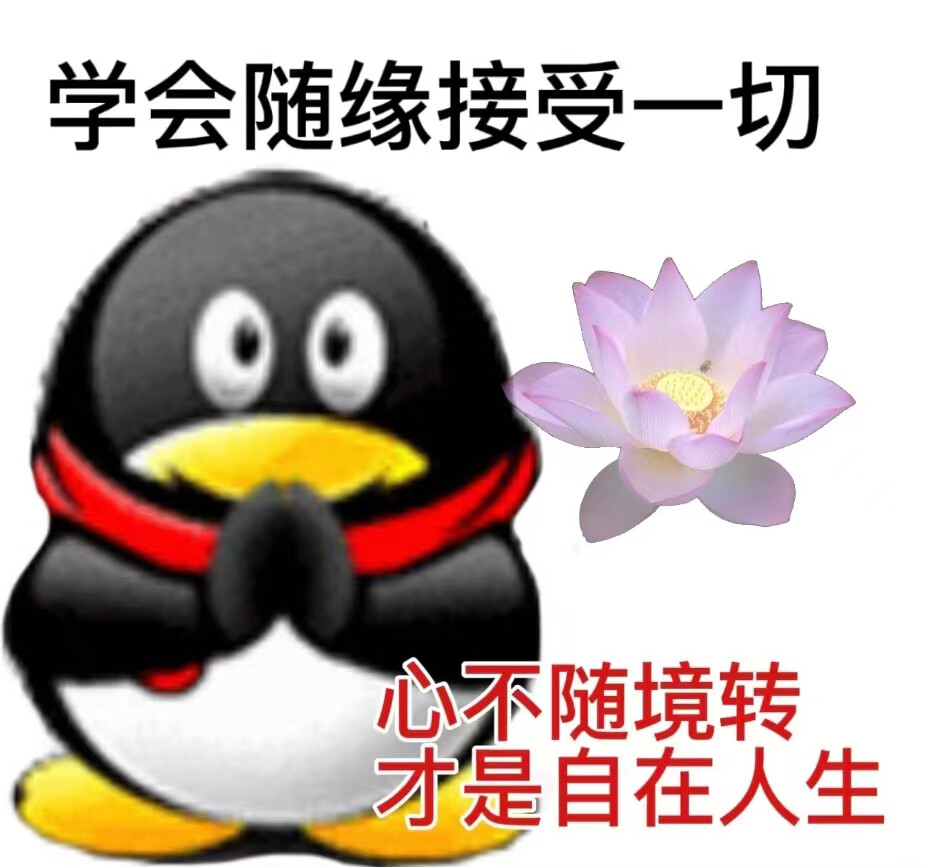 你是大美女！
今日份沙雕搞怪可爱表情包
源自各处 侵权致歉.